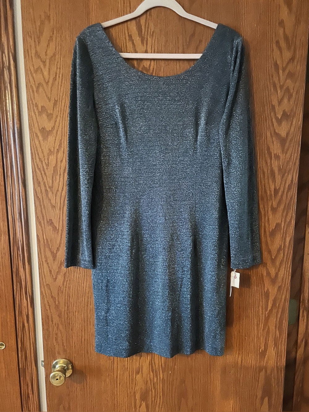 NWT/ Santa Fe Dress